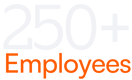 Large Enterprises (250+ employees)